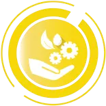logo DS